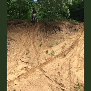 Meet your Posher, Harley